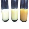 Photo for Global Polyurethane Dispersions (PUD) Sales Market Report 2017