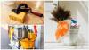 Photo for Coops Go Green Cleaning Service LLC