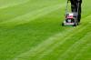 Photo for Lakewood lawn care Services