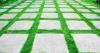 Photo for Global Green Cement Market Professional Survey Report 2017