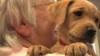 Photo for Greenville Humane Society