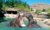 Photo for excursionslanzarote