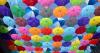 Photo for Top 5 Web Design Trends You Should Never Miss