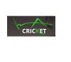 Photo for Cricket Pavers of Weston