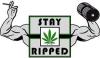 Photo for Stay Ripped