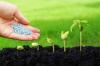 Photo for Global Bio-pesticides Market Research Report 2017