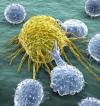 Photo for Global CAR T Cell Therapy Market Size, Share and Forecast upto 2028