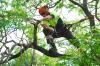 Photo for The Weatherhead Tree Service