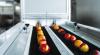 Photo for Global Sorting Equipment Market Research Report 2017