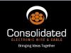 Photo for Consolidated Electronic Wire & Cable