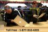 Photo for Talented Professionals Are Available for Apple Mac OS X Users