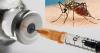 Photo for The global malaria vaccines market is expected to witness a CAGR of 102.8% during the forecast period (2018 – 2024).