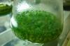 Photo for Global Biofertilizers Market: Prosperity of Organic Food Industry Augur Well for Future, observes TMR