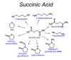Photo for Increasing Pharmaceutical Applications to be the Major Succinic Acid Market Driver