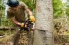 Photo for Troy Tree Service Pros