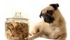 Photo for Global Pet Food Packaging Market Research Report 2017