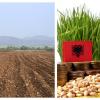 Photo for NORCAL Custom AG Services, LLC