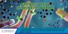 Photo for Antibody Drug Conjugates Market —  Growth, Trends, and Forecasts (2016–2024)