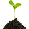 Photo for Global Slow/Controlled Release Fertilizers Market Research Report 2017