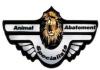 Photo for wildlife removal specialist