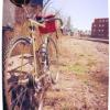 Photo for Boulevard Bikes