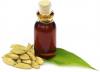 Photo for Global Cardamom Oil Market - Size, Share, Trends & Forecast, 2016-2022