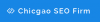 Photo for Chicago SEO Firm