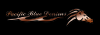 Photo for Pacific Blue Denims, Inc