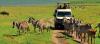 Photo for Trekking Tours Best Way To Refresh Your Mind