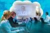 Photo for Global Market Study on Video Communication Platform as a Service (PaaS)