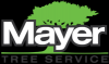 Photo for Mayer Tree Service
