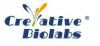 Photo for tubulin filaments