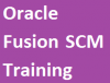 Photo for Best Oracle Fusion SCM Training