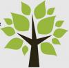 Photo for Mile High Tree Service - Prescott Valley