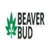 Photo for BeaverBud