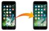 Photo for iPhone 7 Screen Repair – Issues & Fixes
