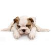 Photo for Kare Klipping