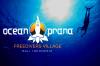 Photo for Ocean Prana Freediving & Yoga Bali