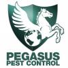 Photo for Pegasus Pest Control