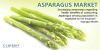 Photo for Asparagus Market - Global Industry Insights, Trends, Outlook and Opportunity Analysis, 2017-2025