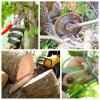 Photo for Mile High Tree Service - Prescott Valley