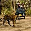 Photo for Travelntoursindia