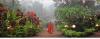 Photo for Christmas and New Year Yoga Retreat in Goa,India