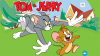 Photo for Cartoons  Make Your Kids Happy And Relaxed