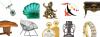 Photo for Online Antique Auctions
