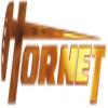 Photo for Hornet Oil and Gas Exploration