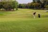 Photo for Turf Protection Market poised to reach USD 6.41 Billion by 2022