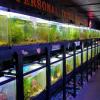 Photo for Personal Touch The Fish Superstore