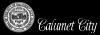 Photo for Today's Chicagoland 5 County City is Calumet City