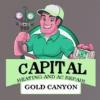 Photo for Capital Heating And AC Repair Gold Canyon